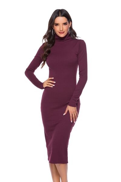 Ribbed Turtleneck Long Sleeve Dress - Nicole Lee Apparel