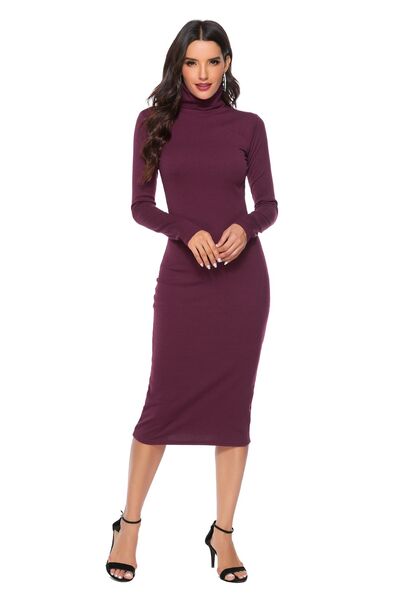 Ribbed Turtleneck Long Sleeve Dress - Nicole Lee Apparel